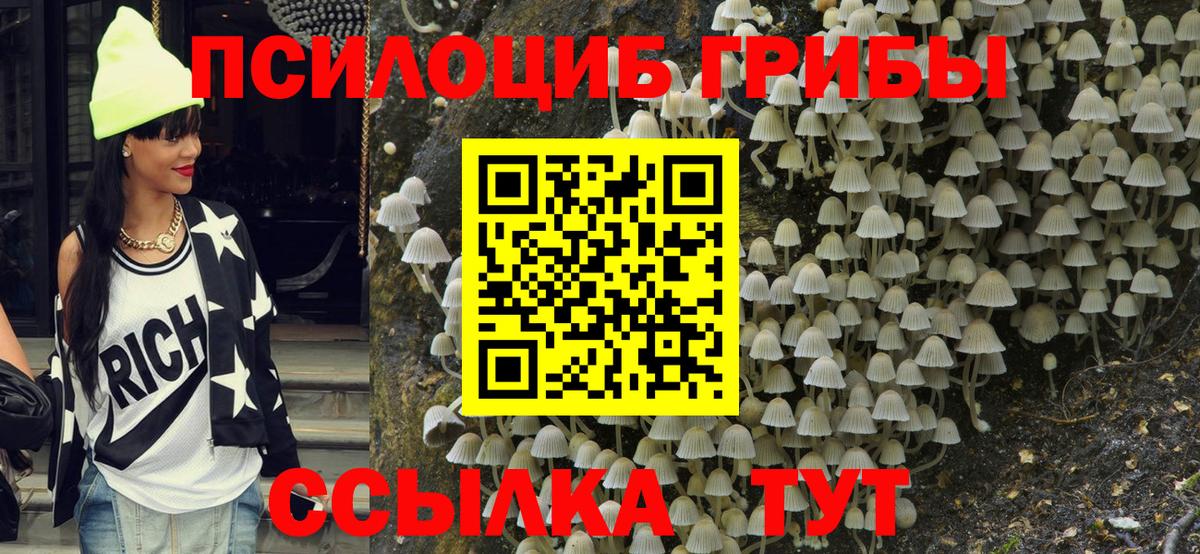 Галлюциногенные грибы мухоморы Горно-Алтайск